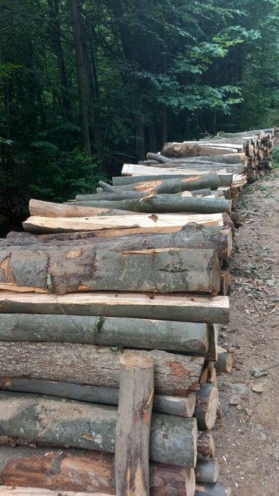 Vând Lemne de foc fag crepatura cu transport inclus pana la domiciliu