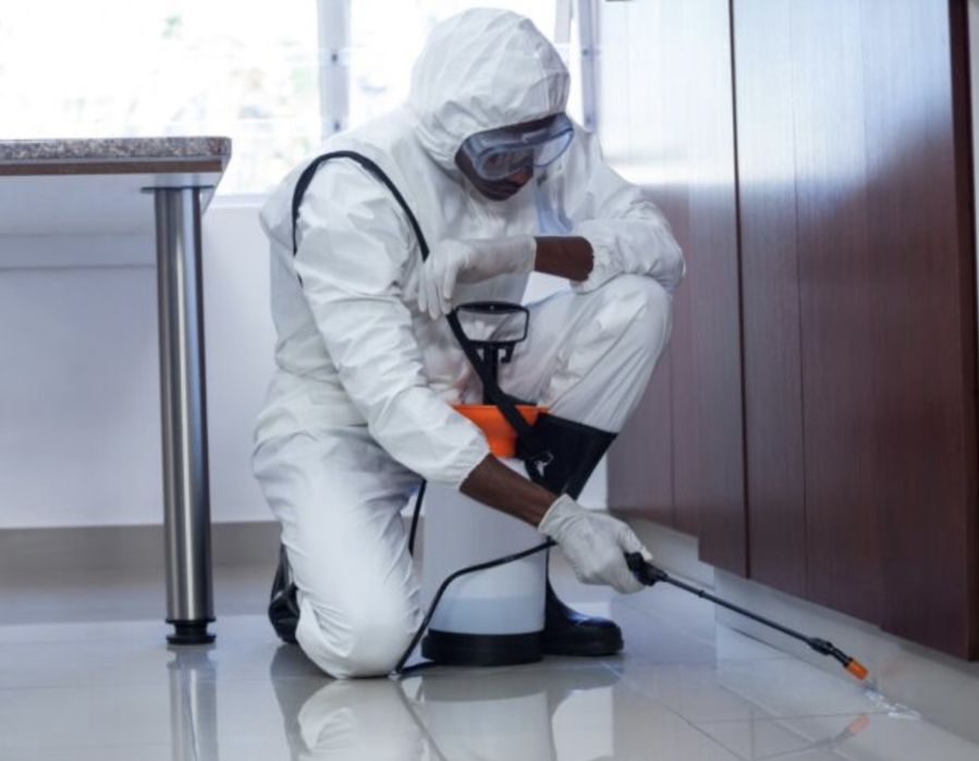 Дезинсекция,Дезинфекция,Дератизация!