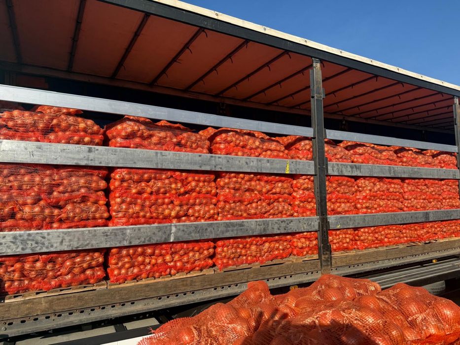 Ceapă si Morcov de vanzare