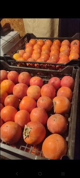 Хурма яблоки виноград гранаты