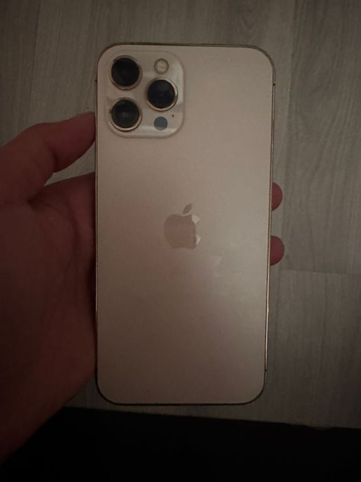 iphone 12 pro max 256g