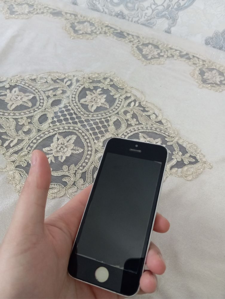 iPhone 5s arzon narxda