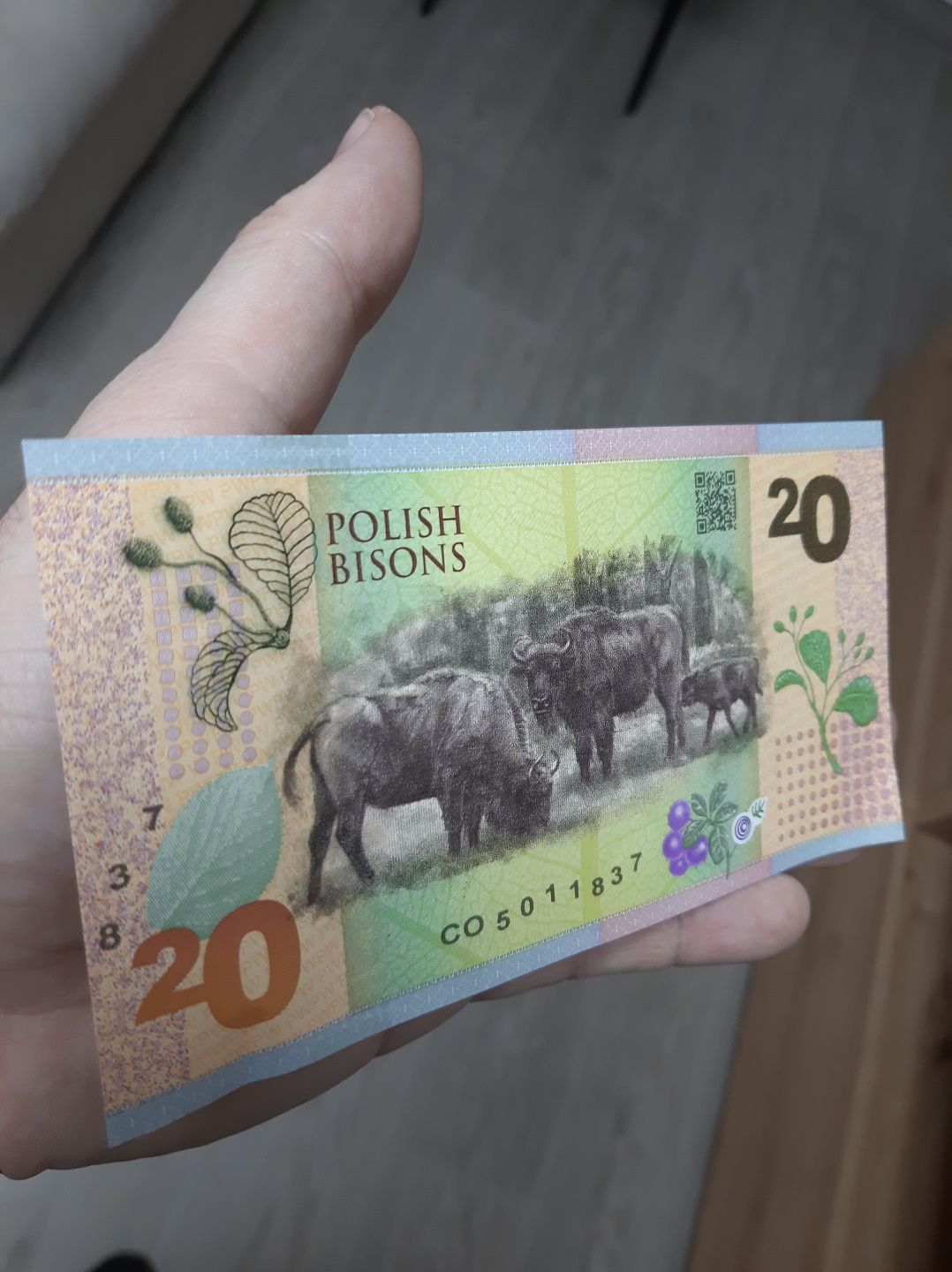 Unicat/colectie Bancnota originala Polonia. Nouă
