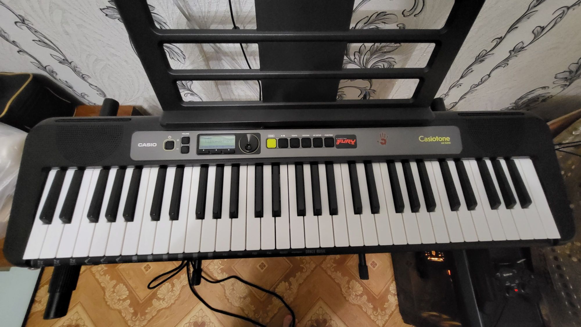 CASIO LK-S 250 (Сэкономите  29 000)