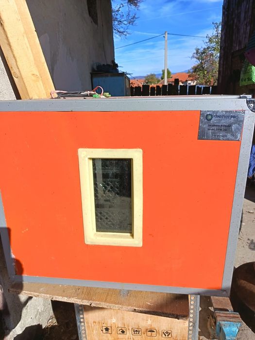 Incubator  profesional