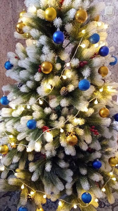 archa arzon narxdaa sotiladi