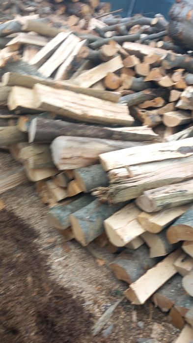 Vând Lemne de foc fag crepatura ,rotunde groase sau raritura