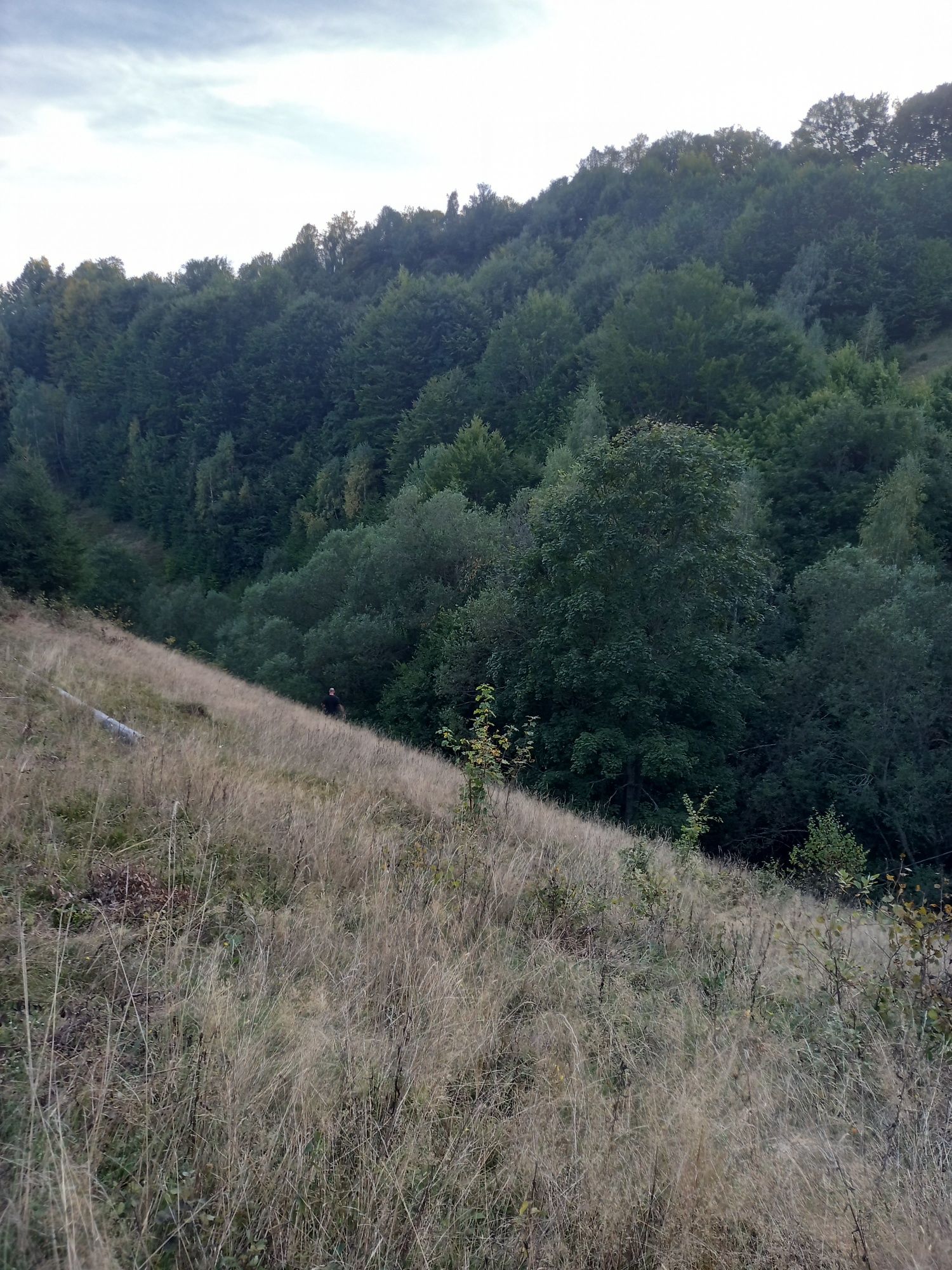 Teren de vânzare