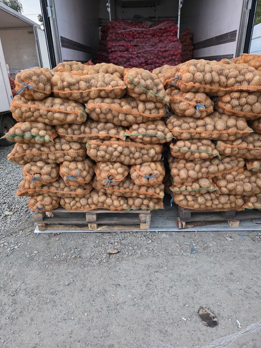 Cartofi albi pentru iarna