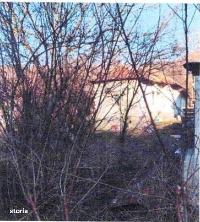 Casa si teren Valea Mare Podgoria, cota 1/2 , ID: R2618541
