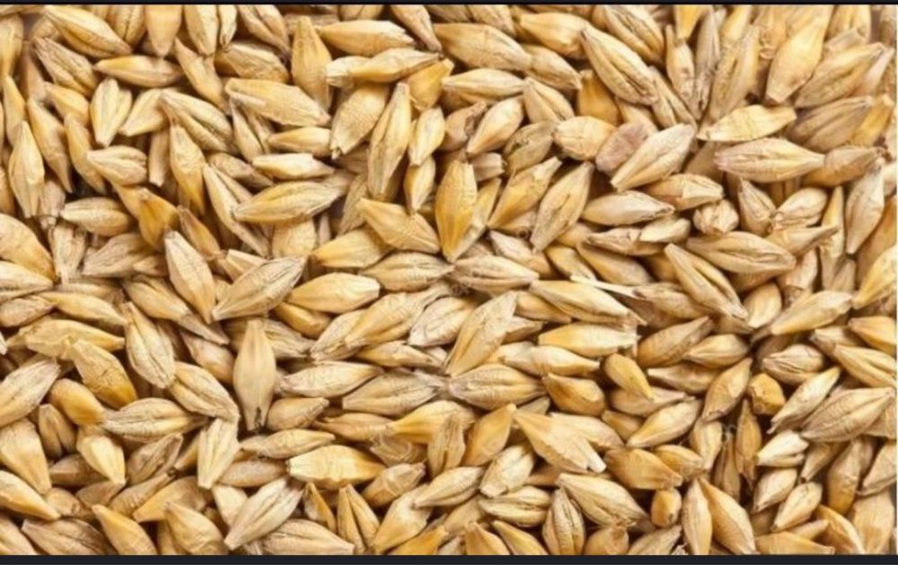 Пшеница сухой с элеватра с достовкой россыпной