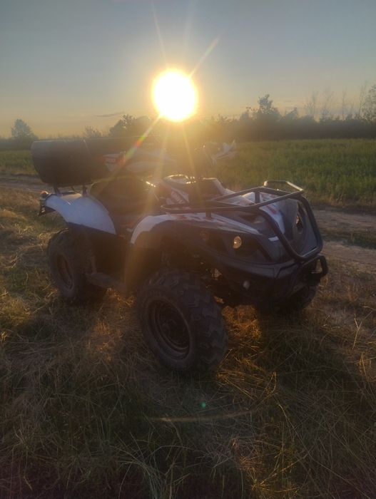 Linhai 300cc 4x2 Dragon Fly
