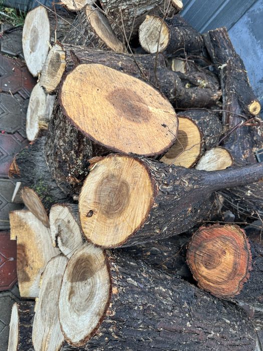 Дрова чурки, ветки 3 куб. м