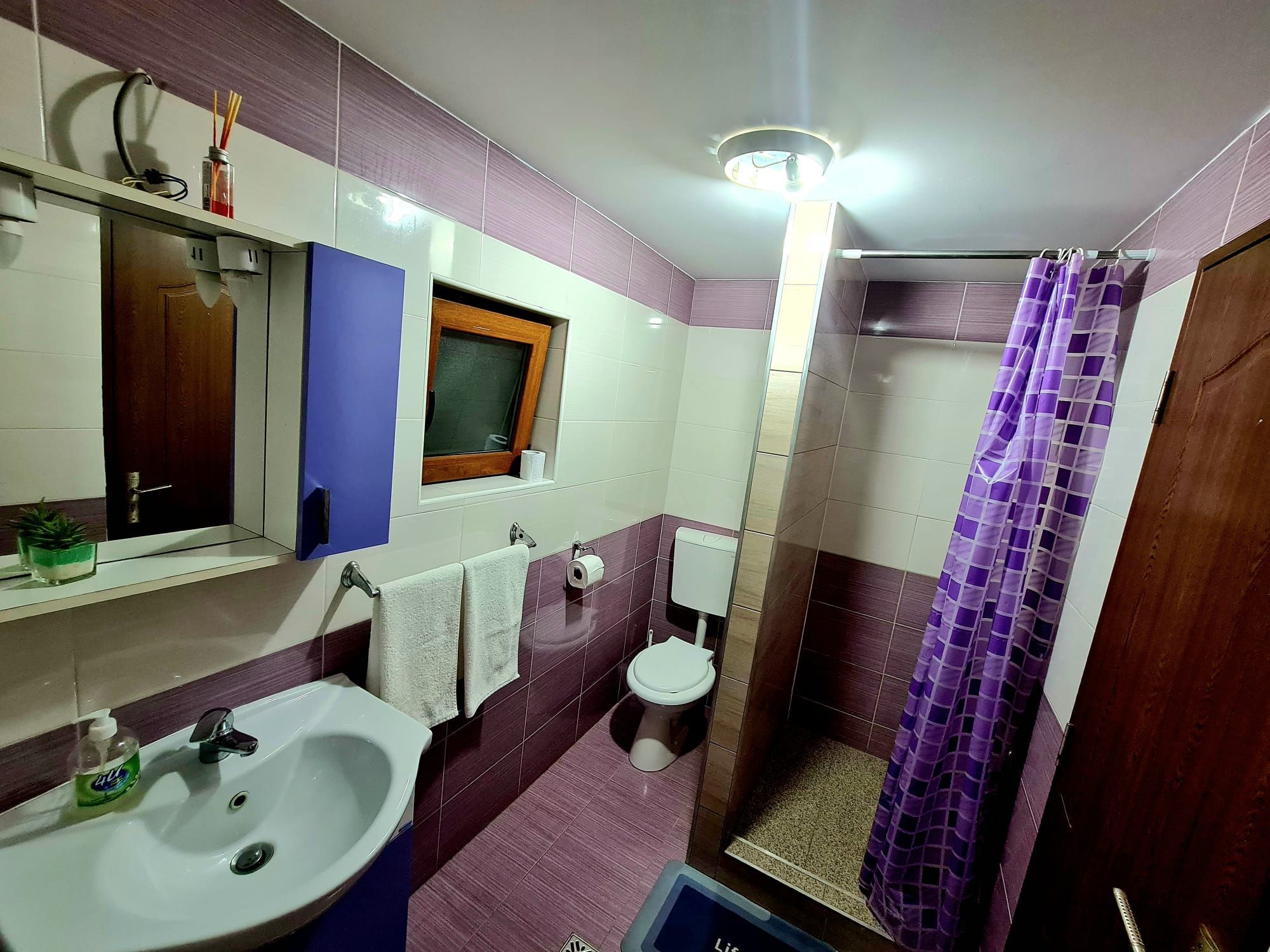Cabana Tony Baile Figa BN cu ciubar acoperit și jacuzzi disponibilă