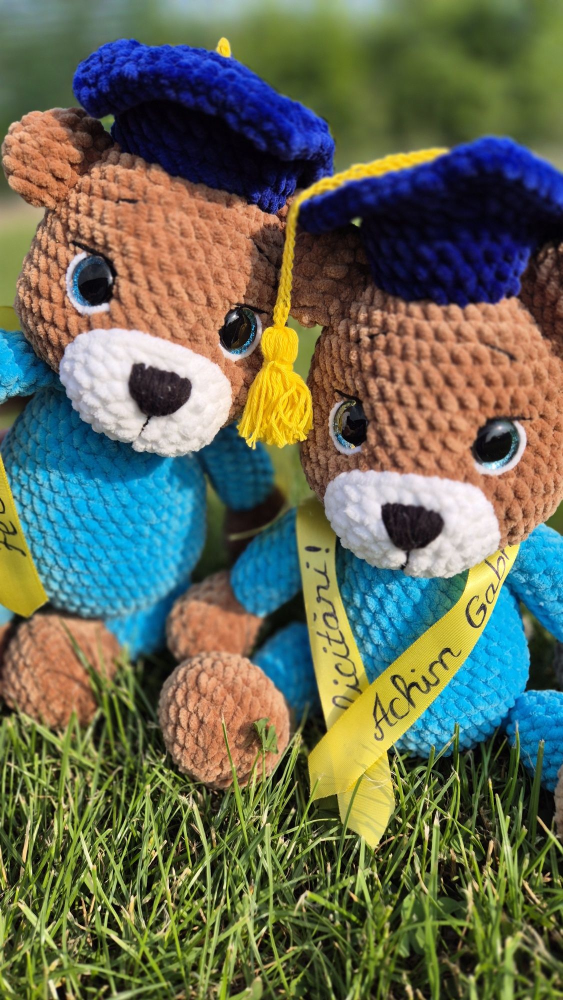 Ursi absolvenți croșetați (amigurumi)