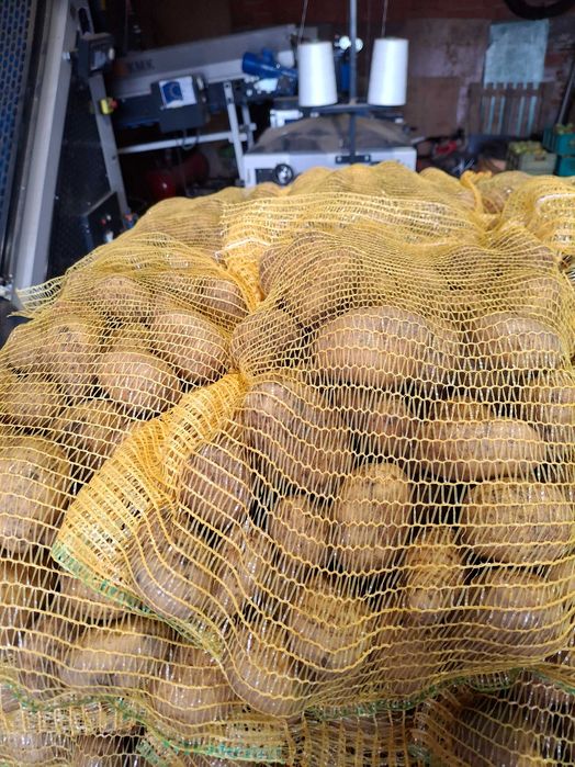 Картофи сорт сорая 10кг