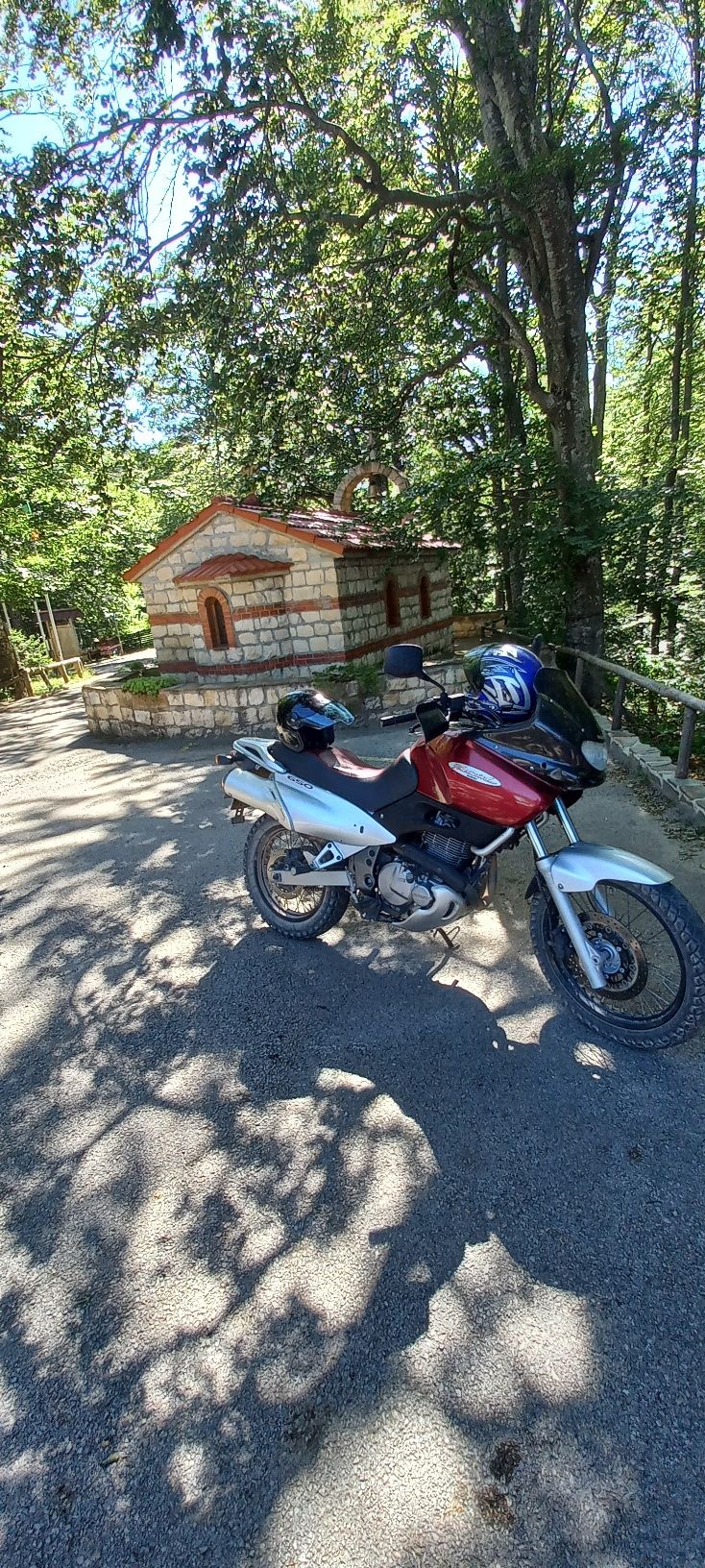Suzuki xf 650 freawind