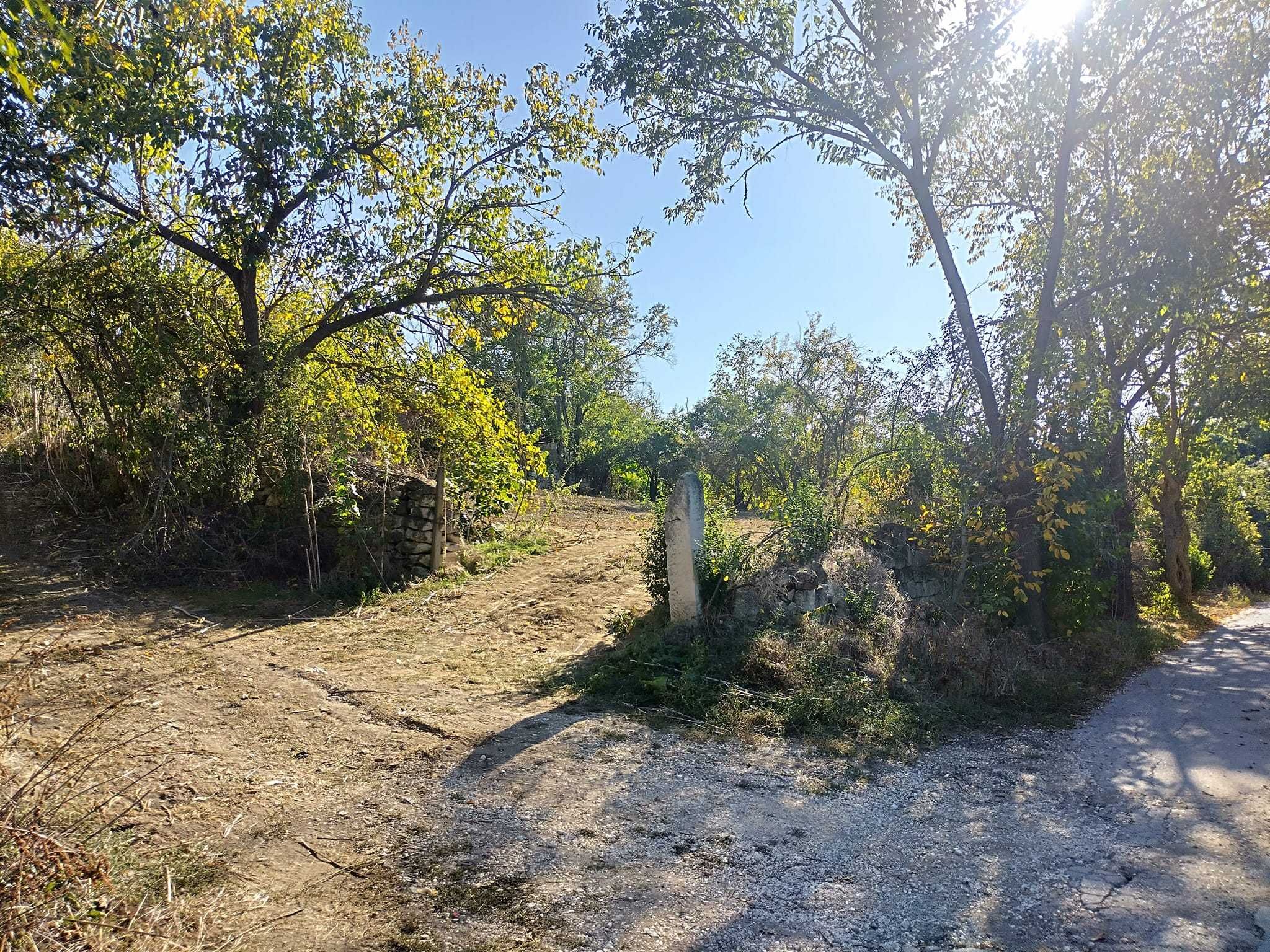 дворно място в село Червен, обл. Русе.
