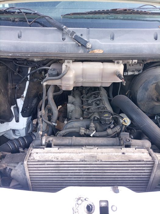 Iveco Daily frigorific