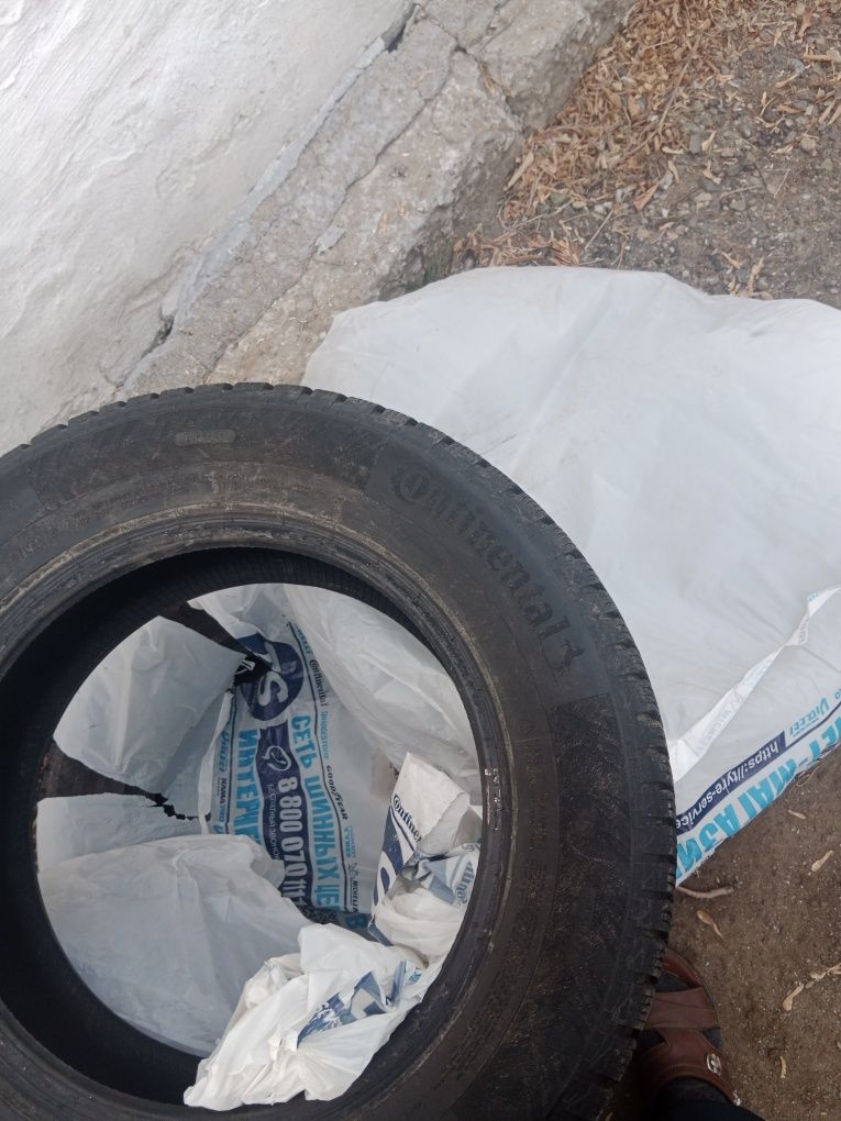 Автошины продам недорого