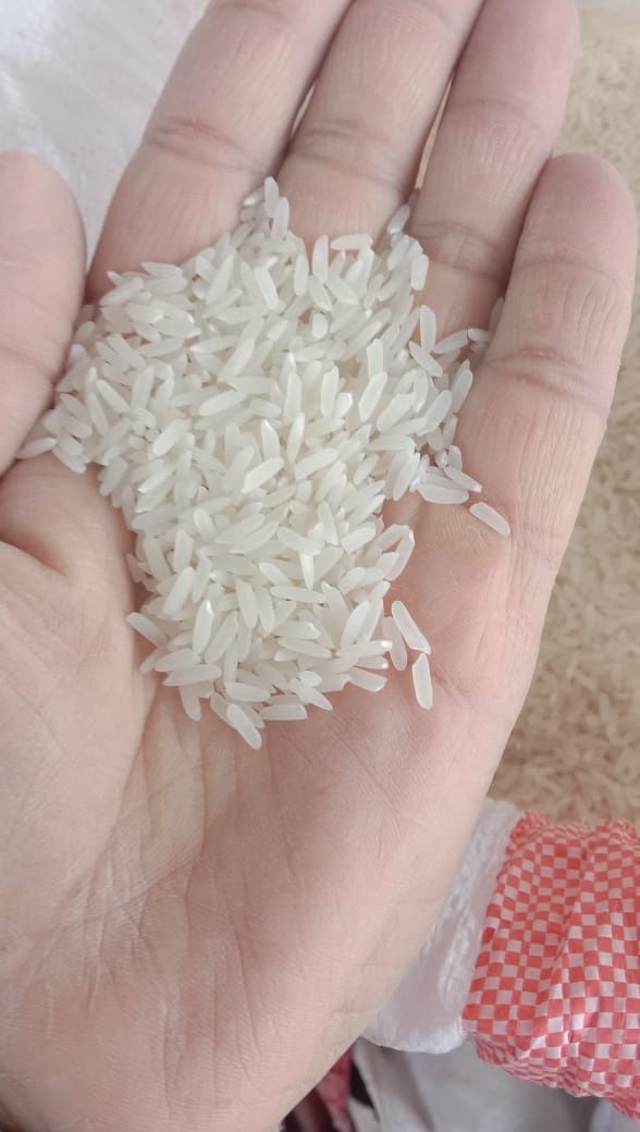 Продаю Ташкентский рис лазер