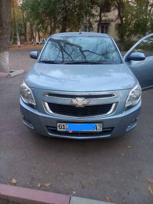 3 - поцитсия 2013