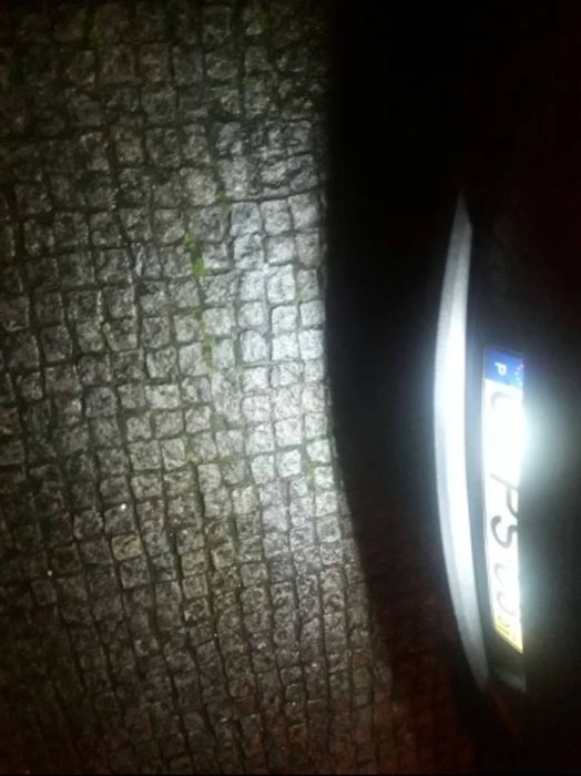 Lampi LED numar dedicate Canbus Clio Logan 2 Megane Twingo Master