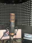 Microfon profesionist Telefunken T39