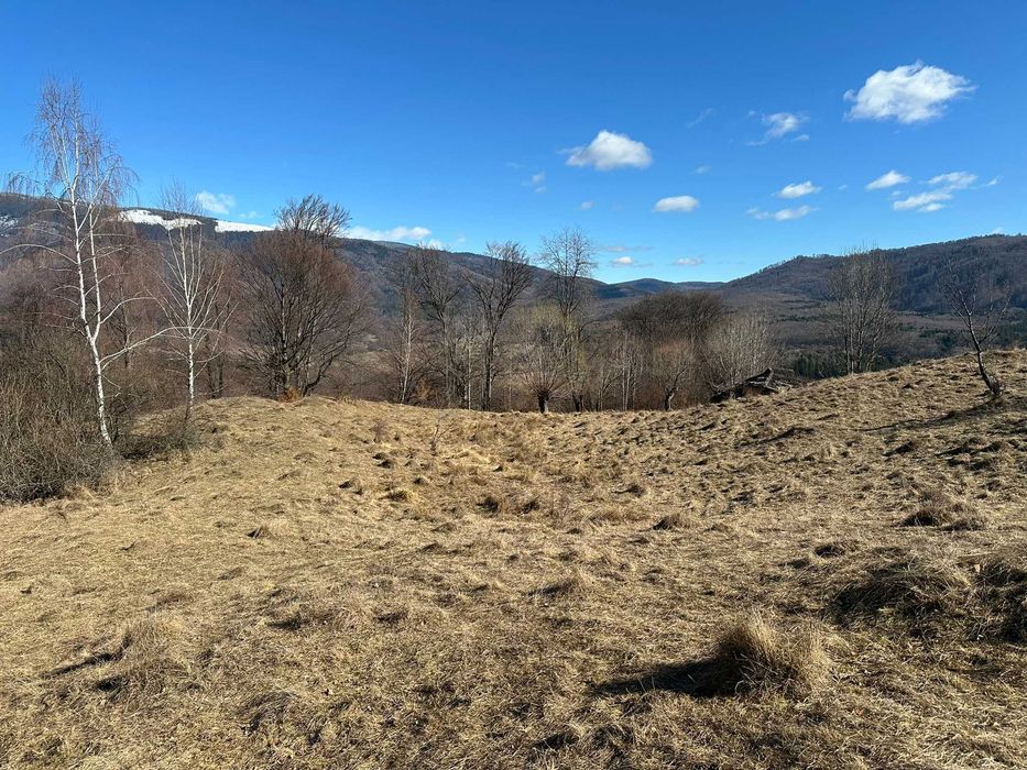 Teren zona montana