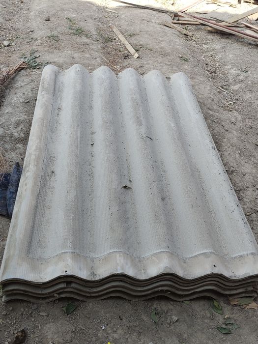 80-90 donaga yaqin Rossiyiskiy bor