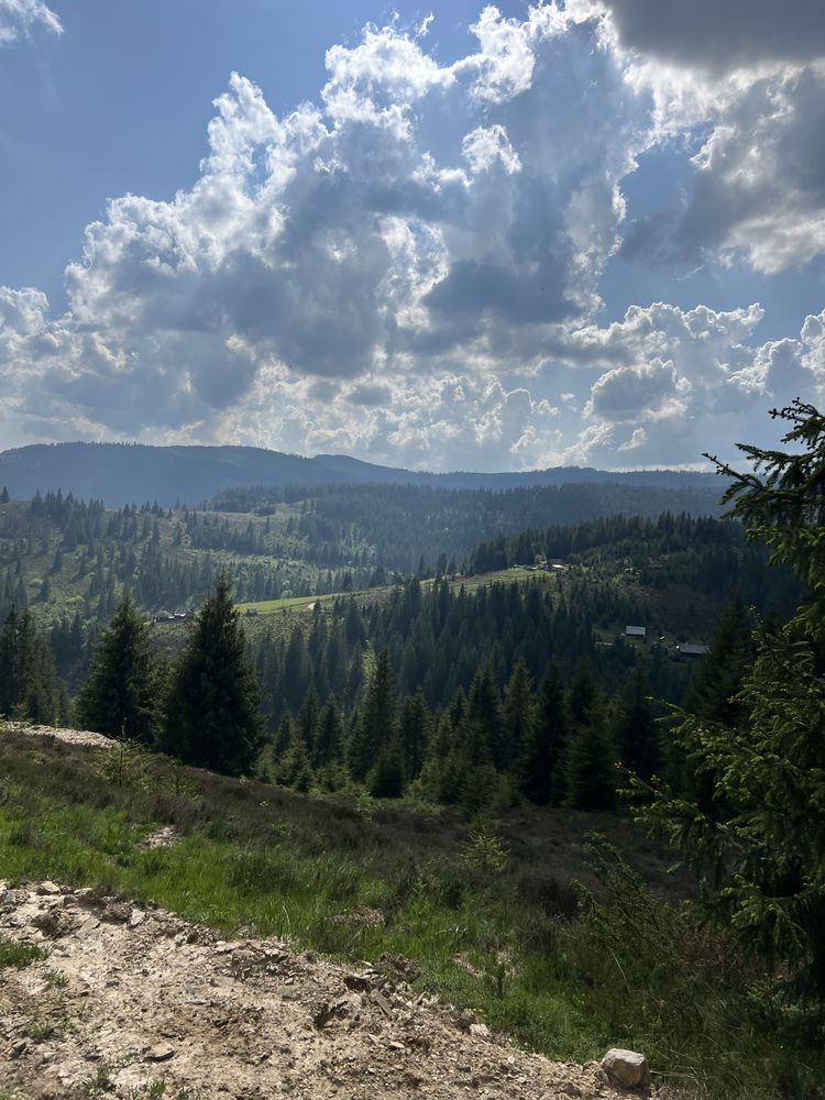 Teren la munte cu anteproiect cabana