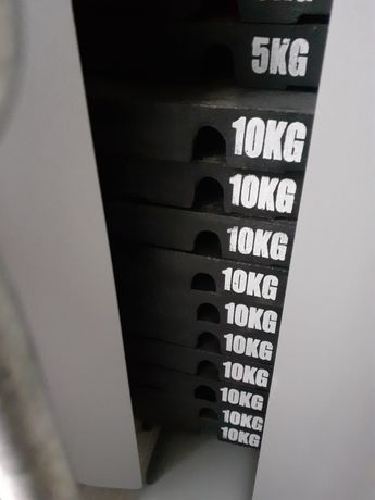Placi de fier 10 kg pe aparat fitness