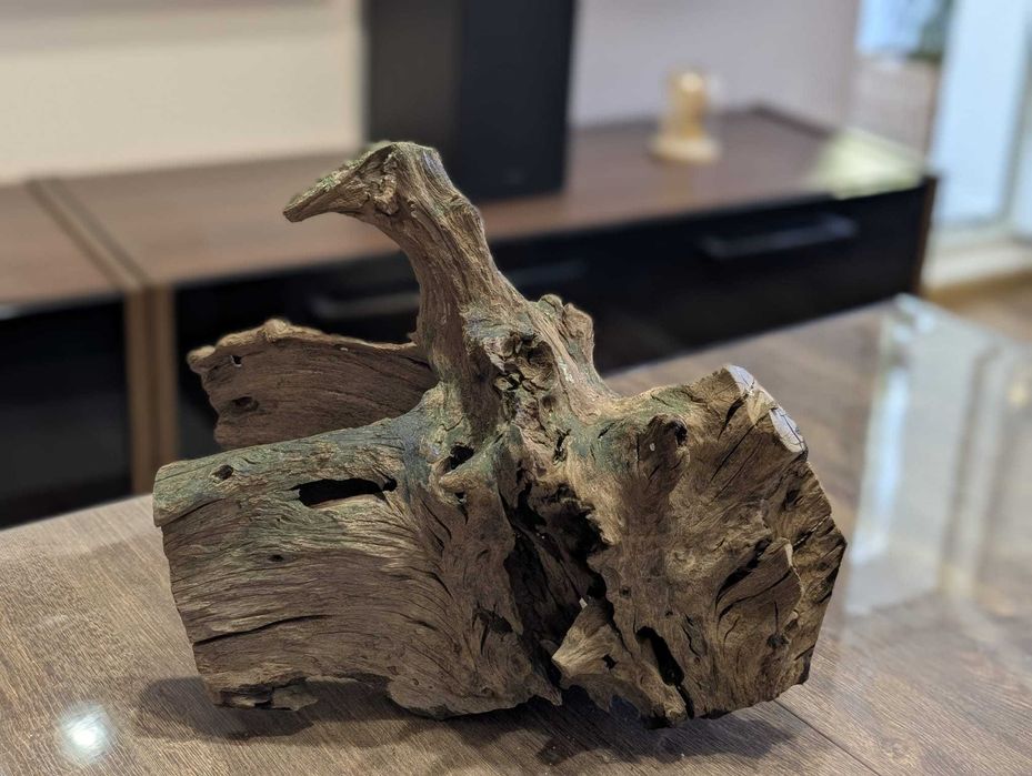 Vand lemn natural decor acvariu