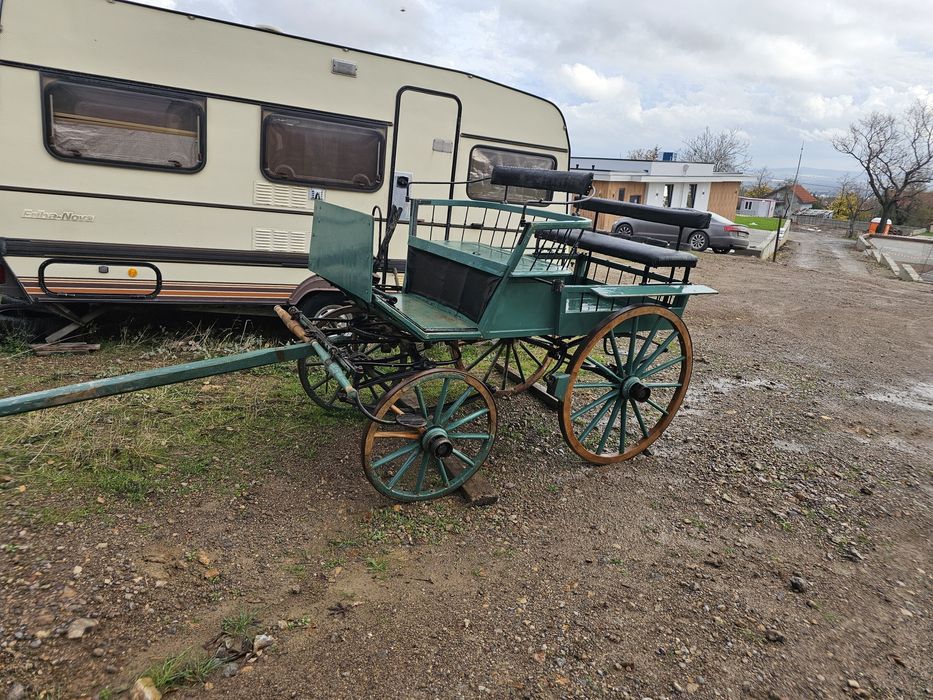 Карета каляска каруца файтон маратон кон кобила пони