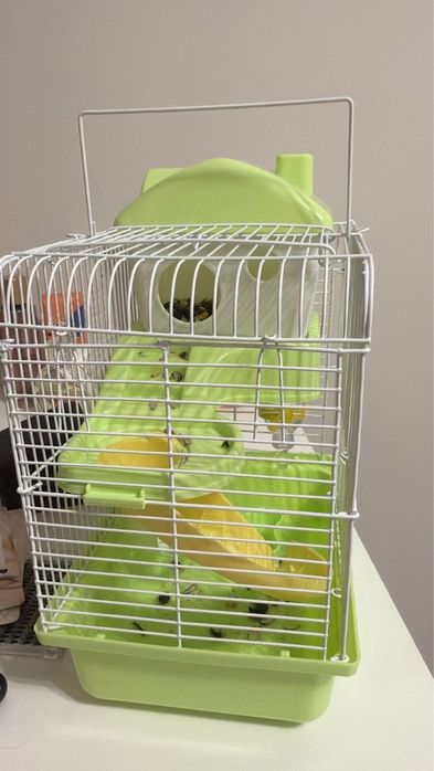 Хомяк с клеткойй