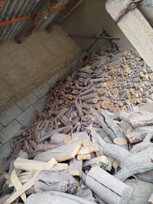 Oʻtin sotiladi oʻrik daraxti maydalangan tayyor