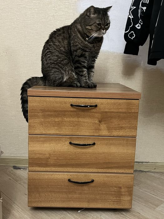 Шкаф+ тумба для офиса