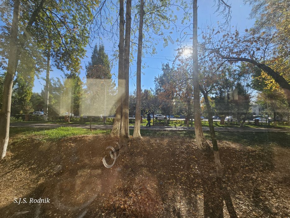 Максим Горький. Художник.  71дом. Разделка.