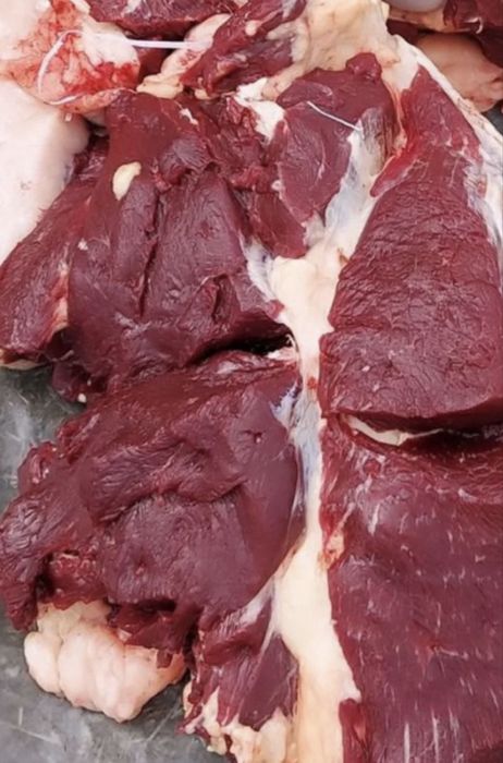 Жылкы Ет Кызылорда