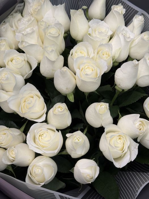 Белые розы продам