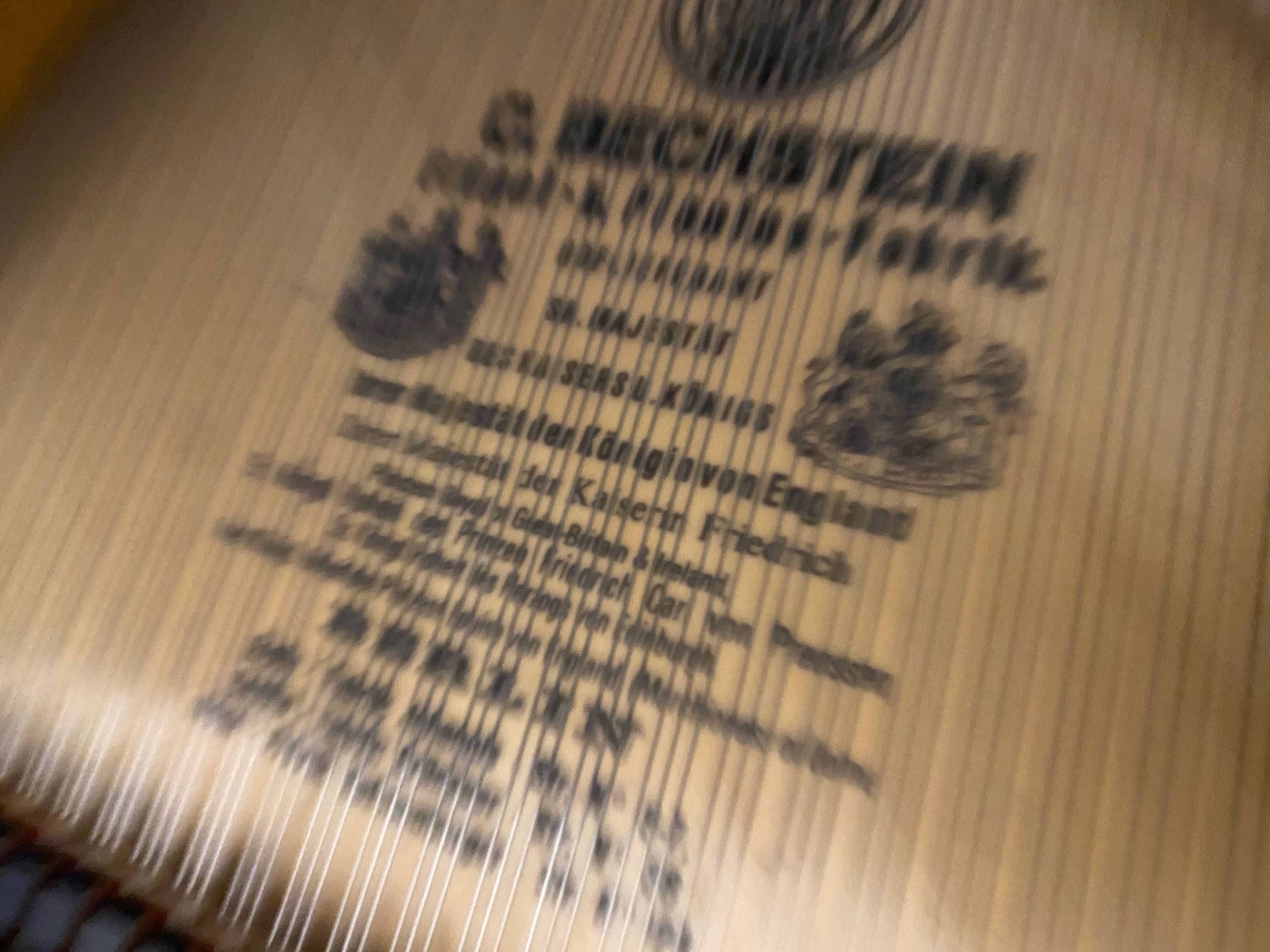 BECHSTEIN-ca și NOU- Pian Concert !