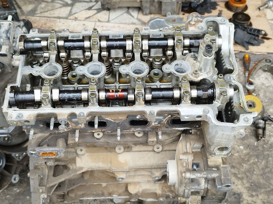 Malibu1 Mator galovka vanus sep