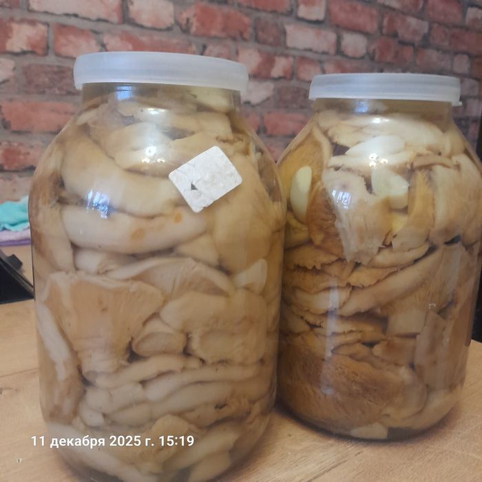 Грузди   соленые