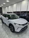 Byd Yuan Up smart Dop opsiya