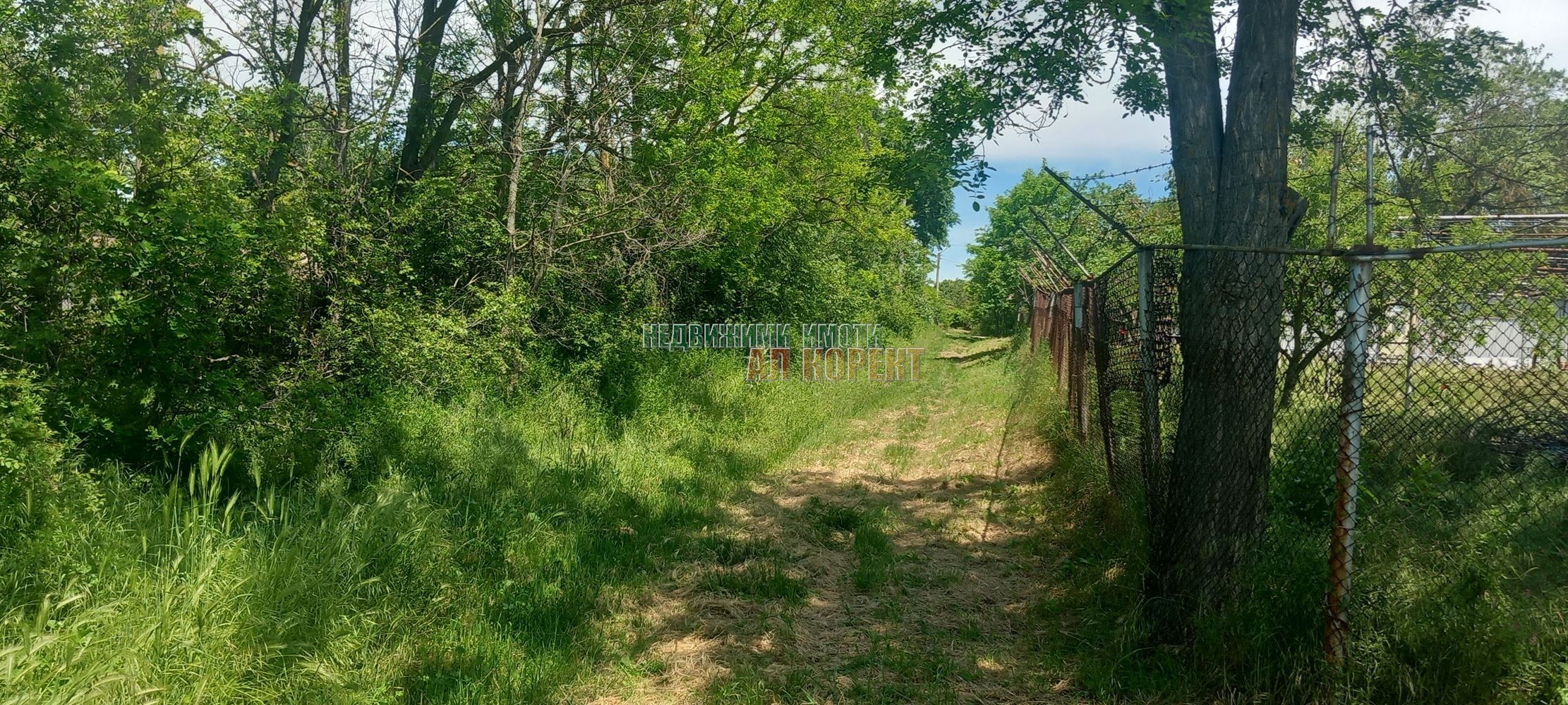 Парцел в Варна, област-с.Кривня площ 2620 цена 26000