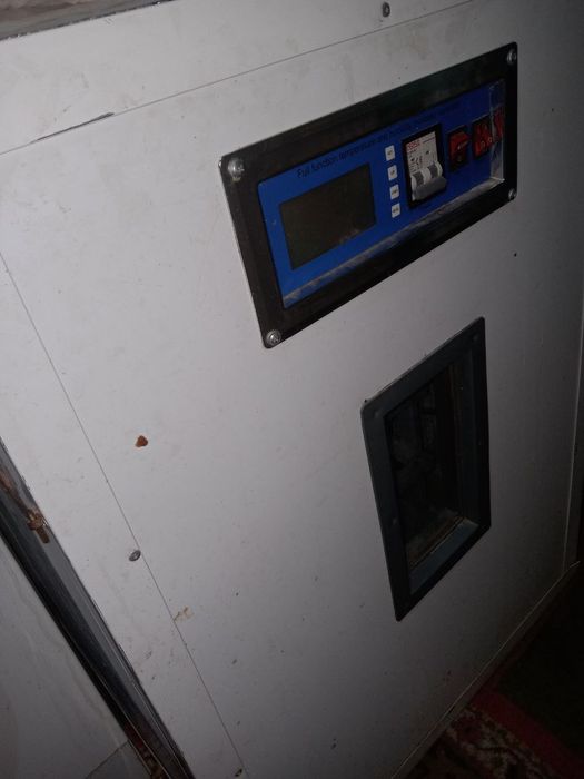 Инкубатор 356 талик