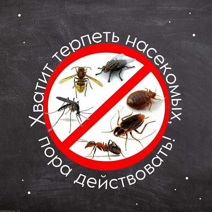 Дезинфекция хизмати | dezinfeksia | дезинфекция YT-05