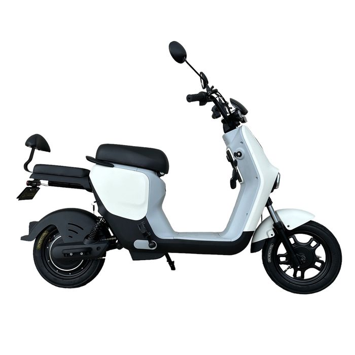 Scuter Electric 500W 20Ah Pedale Bicicleta Trotineta Plumb GEL ‼️
