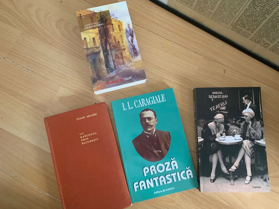 Книги и комикси на румънски език