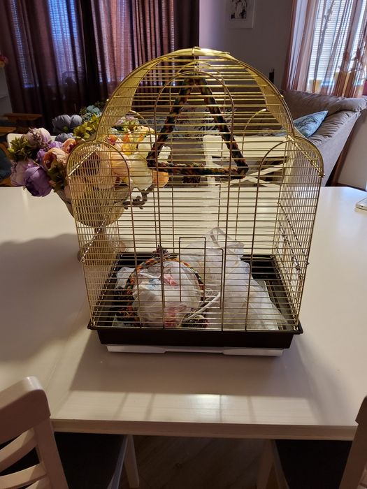 Продаются 2  клетки